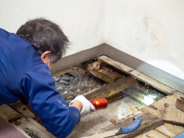Water Damage Restoration in Dillingham, AK