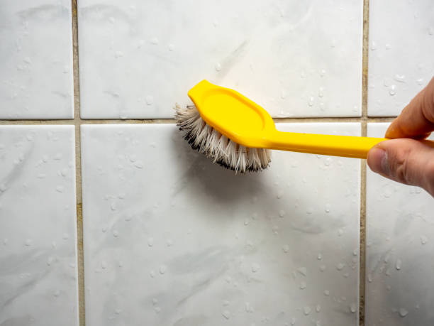 Best Mold Removal Near Me  in Dillingham, AK