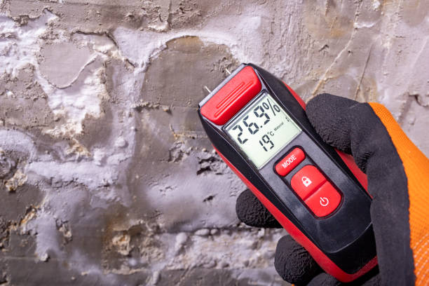 Best Mold Removal Company Near Me  in Dillingham, AK